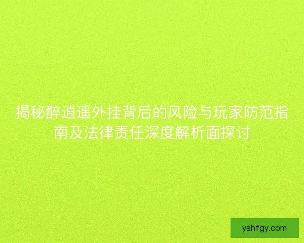 揭秘醉逍遥外挂背后的风险与玩家防范指南及法律责任深度解析面探讨