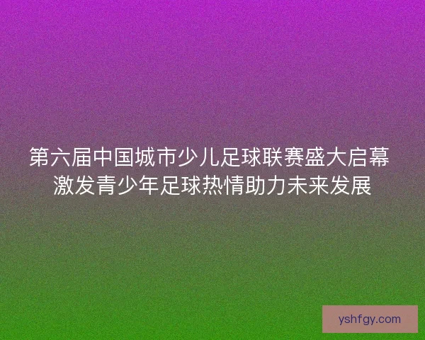 第六届中国城市少儿足球联赛盛大启幕 激发青少年足球热情助力未来发展