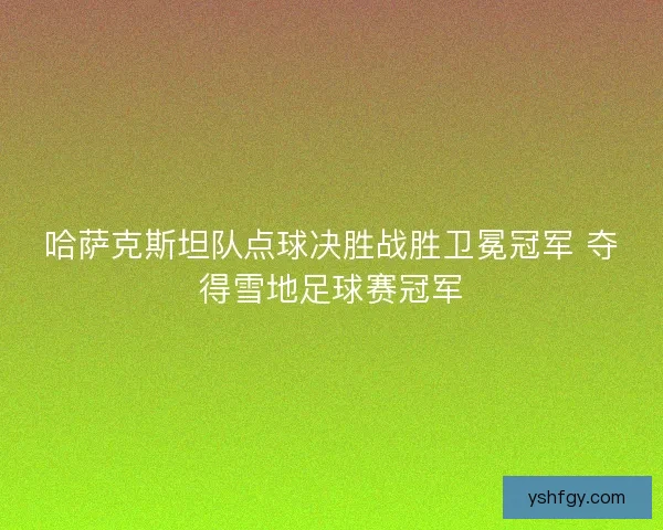 哈萨克斯坦队点球决胜战胜卫冕冠军 夺得雪地足球赛冠军