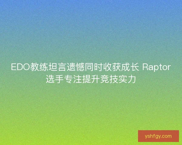 EDO教练坦言遗憾同时收获成长 Raptor选手专注提升竞技实力 EDO教练坦言遗憾同时收获成长 Raptor选手专注提升竞技实力